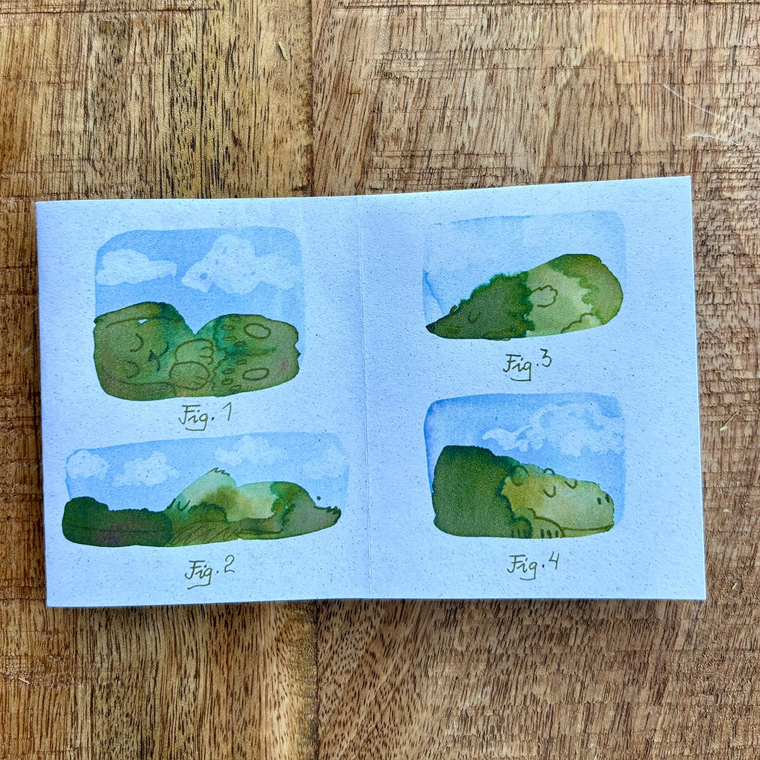 ZINE: Sleeping Spring Spirits